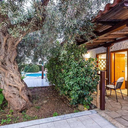 Olympic Bibis Hotel Metamorfosi  Dış mekan fotoğraf