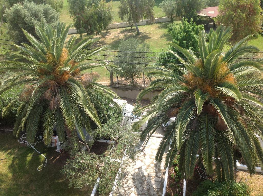 Olympic Bibis Hotel Metamorfosi  Dış mekan fotoğraf